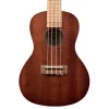 Kala Mahogany Concert Ukulele