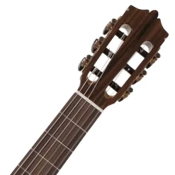 Katoh MCG20SEQ Classical Cutaway