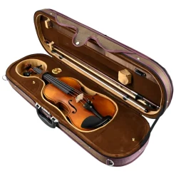 Knight - HDV31 4/4 Size Violin with bow and foam case