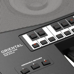 Korg PA700 Oriental