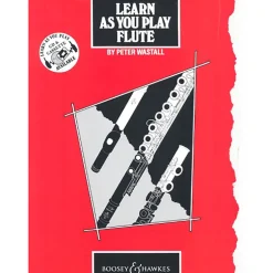 Learn As You Play Flute