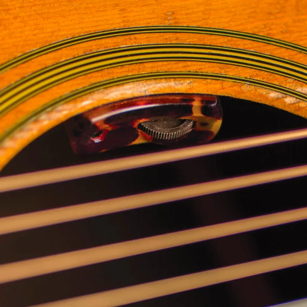 LR Baggs LYRIC Microphone Guitar System