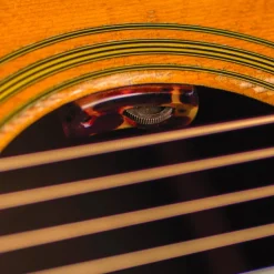 LR Baggs LYRIC-C Classical Microphone Guitar System