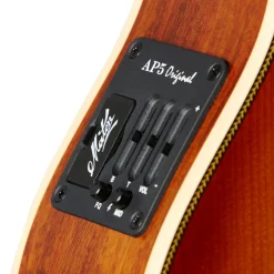 Maton EMD-12 Diesel Special - 12 String Guitar