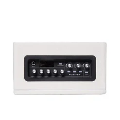 Mooer Hornet Modeling Amplifier Combo - White