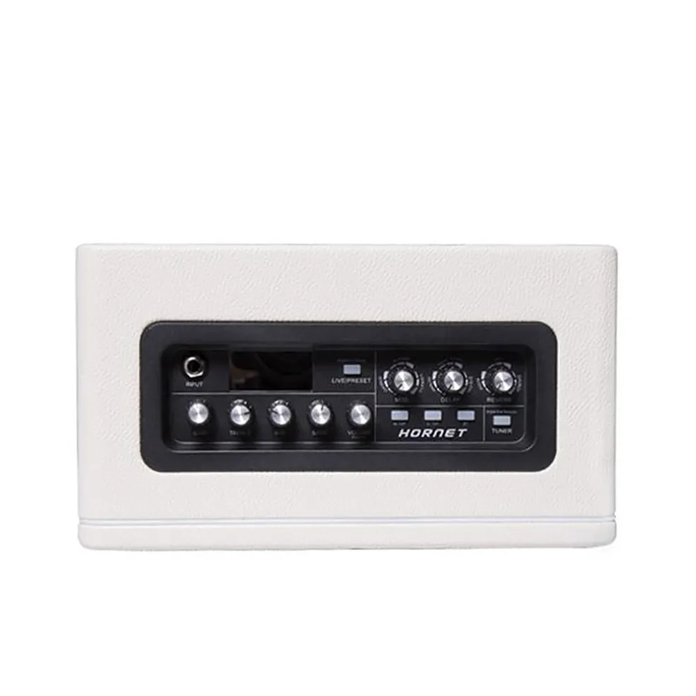 Mooer Hornet Modeling Amplifier Combo - White
