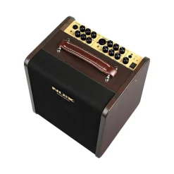 NUX AC80 Stageman II