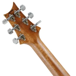 PRS 509 - Yellow Tiger