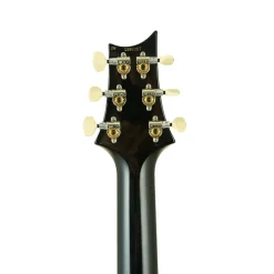 PRS Custom 24 - Fire Smokeburst - Pattern Thin Neck