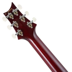 PRS DGT - Dark Cherry Burst - Birds