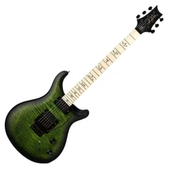 PRS Dustie Waring Floyd - Jade Smokeburst