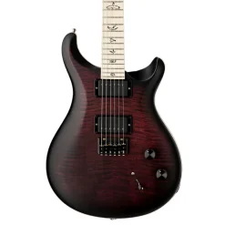 PRS Dustie Waring Hardtail - Waring Burst