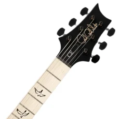 PRS Dustie Waring Hardtail - Waring Burst