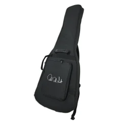 PRS Dustie Waring Hardtail - Waring Burst