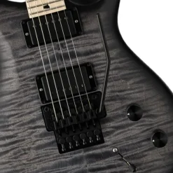 PRS Dustie Warring CE24 Floyd Faded Blue Wraparound Smokeburst YF