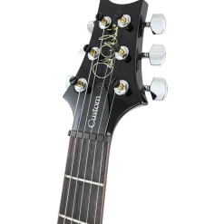 PRS S2 Custom 24 - Elephant Grey