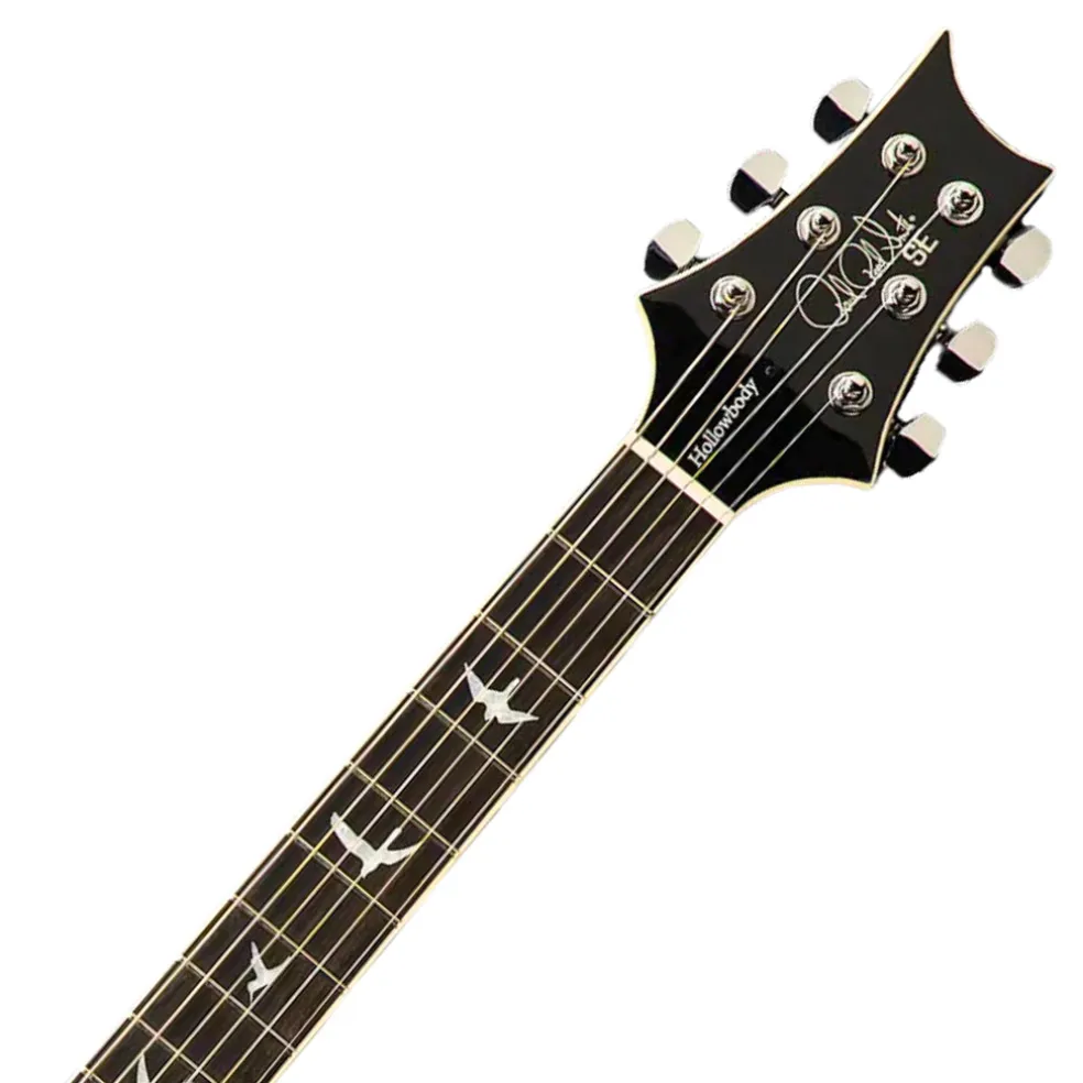 PRS SE Hollowbody Standard - Dog Hair Smokeburst