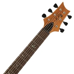 PRS SE Paul's Guitar - Faded Blue