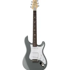 PRS SE Silver Sky - Storm Grey