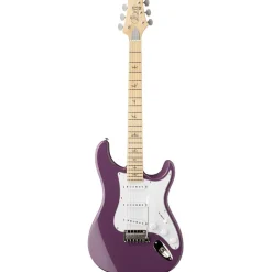 PRS SE Silver Sky Maple Neck - Summit Purple