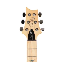 PRS SE Swamp Ash Special - Iri Blue