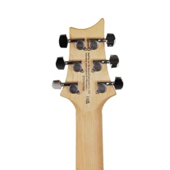 PRS SE Swamp Ash Special - Iri Blue