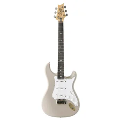 PRS Silver Sky Limited Edition - Dead Spec