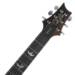 PRS Special 22 Semi Hollow - Orange Tiger