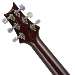 PRS Special 22 Semi Hollow - Orange Tiger