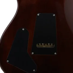 PRS Special 22 Semi Hollow - Orange Tiger