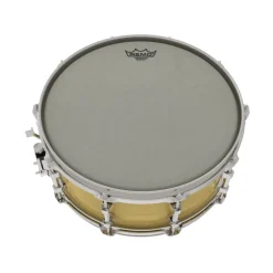 Remo 10" Ambassador Renaissance