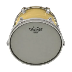 Remo 10" Ambassador Renaissance