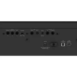 Roland - FP-60X Digital Piano - Black