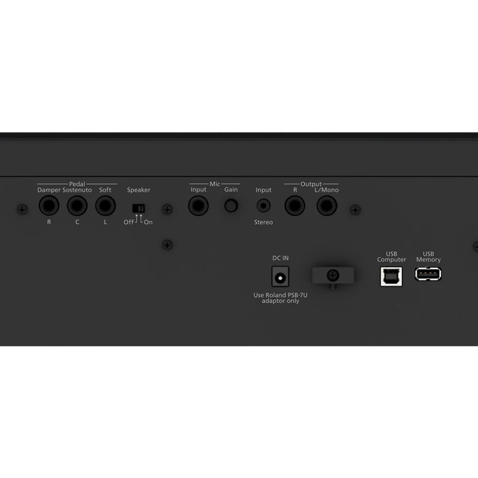 Roland - FP-60X Digital Piano - Black