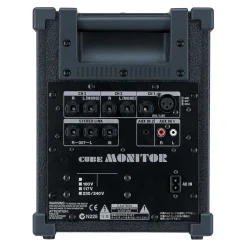 Roland Cube Monitor