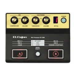 Roland El-Cajon Mic Processor