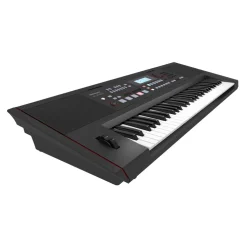 Roland E-X50 Arranger Keyboard
