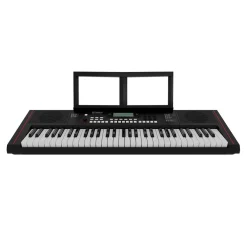 Roland E-X10 Portable Keyboard