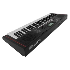 Roland E-X10 Portable Keyboard