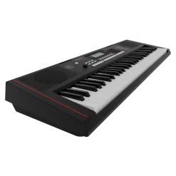 Roland E-X10 Portable Keyboard