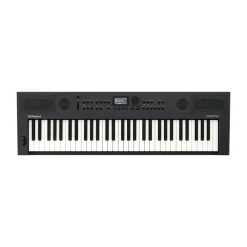 Roland GO:KEYS 5 Graphite