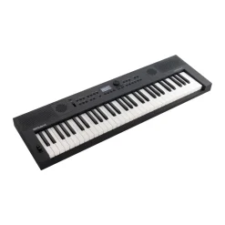 Roland GO:KEYS 5 Graphite