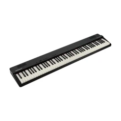 Roland GO:PIANO88 PX 88-Key Music Creation Keyboard
