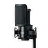 Shure SM4-K Microphone Dual Diaphragm Condenser with Hard Mount and Case - Black