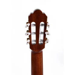 Sigma CTMC2E Classical Cutaway with EQ