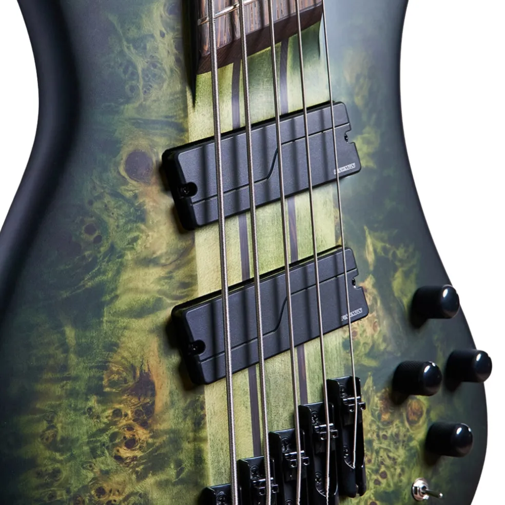 Spector Dimension Multiscale 5 String Bass - Haunted Moss