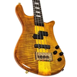 Spector Euro 4 LT w/ Darkglass Electronics Tiger Eye