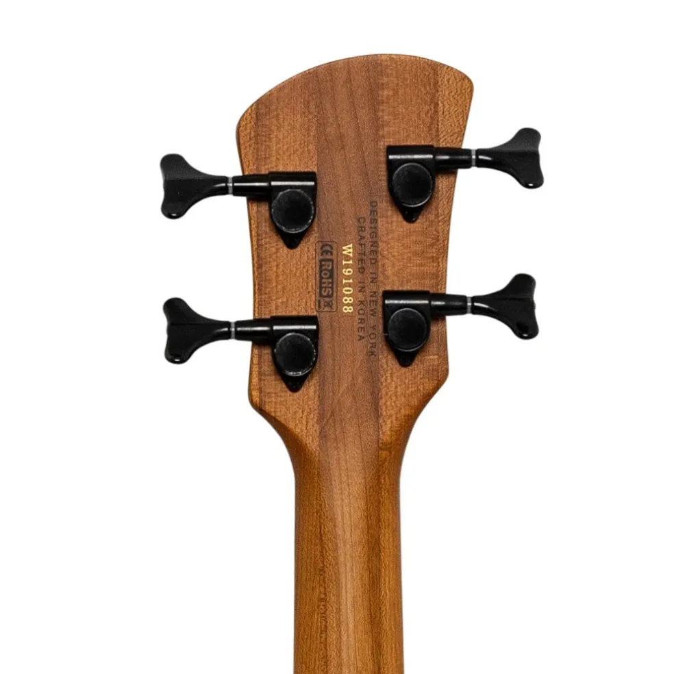 Spector Pulse 4 Bass Guitar - Black Stain Matte