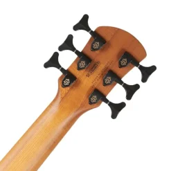 Spector Pulse 6 Bass Guitar - Black Stain Matte