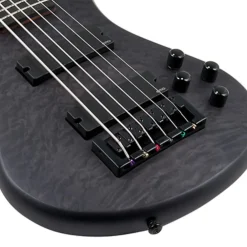 Spector Pulse 6 Bass Guitar - Black Stain Matte